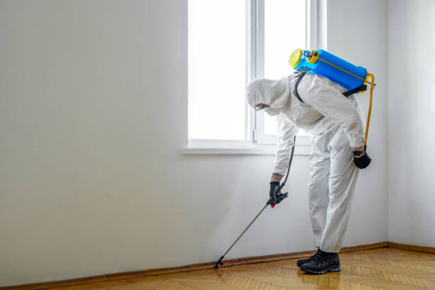 Best Pest Control for Homes  in Roswell, GA