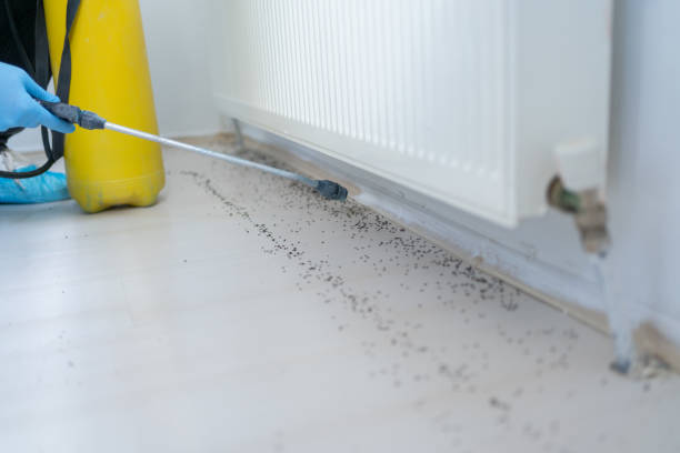 Best Emergency Pest Control  in Roswell, GA