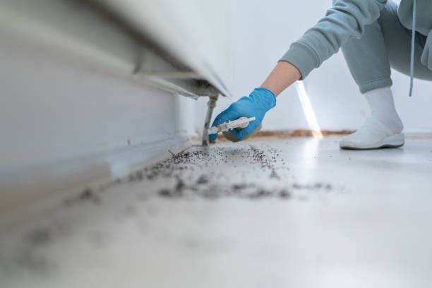 Best Bed Bug Extermination  in Roswell, GA