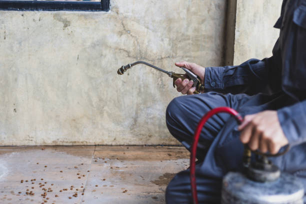Best Flea Control Services  in Roswell, GA